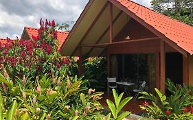 Hotel Villas Vista Arenal